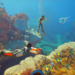 Krafton settles with Subnautica 2 developer after drawn-out dispute over $250 million