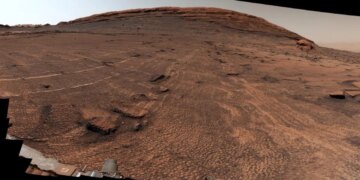 NASA’s Curiosity rover found a ‘sea of polygons’ on Mars