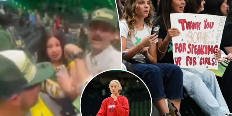 New video shows Storm fans, Sophie Cunningham supporters clash