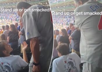 Older man slaps fan at Cubs game for not standing for national anthem