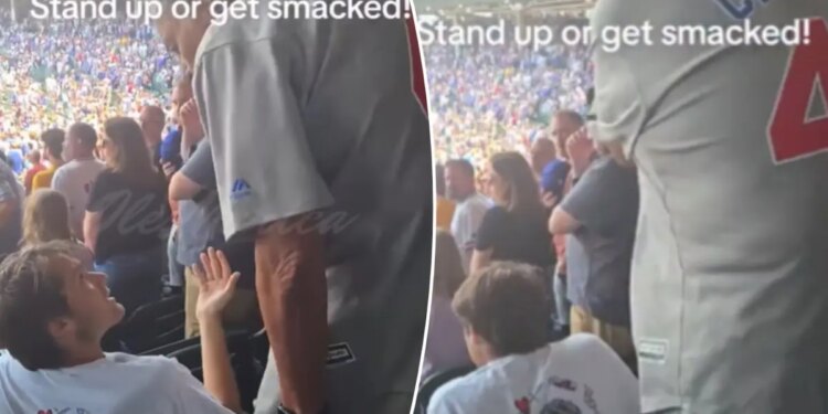 Older man slaps fan at Cubs game for not standing for national anthem