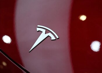 Tesla driver faces manslaughter charges over Texas crash that killed a woman inside her home