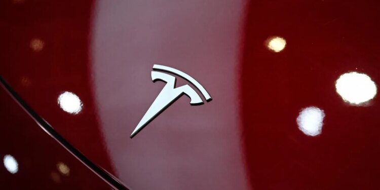 Tesla driver faces manslaughter charges over Texas crash that killed a woman inside her home