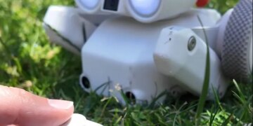 This jumping $800 robot camera dog filled me with joy