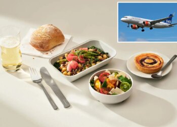 US judge slaps down litigious California man who sued airline for running out of chicken entrees