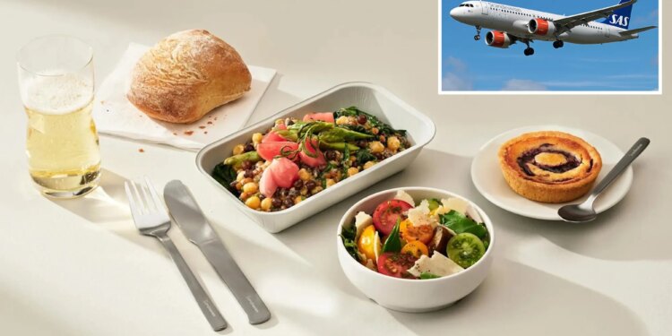 US judge slaps down litigious California man who sued airline for running out of chicken entrees