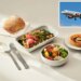 US judge slaps down litigious California man who sued airline for running out of chicken entrees