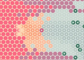 What Surrounds Us will make you think a lot about circles